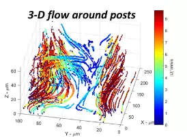 Digital graphic of 3D Flow. Shows flow along X, Y, and Z axes. Distance measured in micrometers.