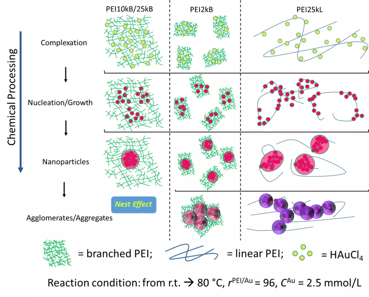 graphical abstract processing nanoparticles
