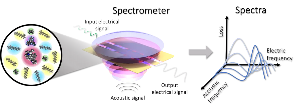 Electric-acoustic spectroscopy project