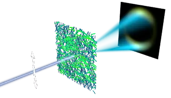 RSoXS of fibrillar crystals