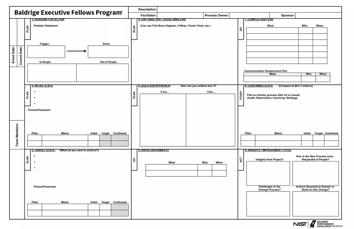 Baldrige Executive Fellows A3 nine box problem-solving tool. Boxes are described in the text.