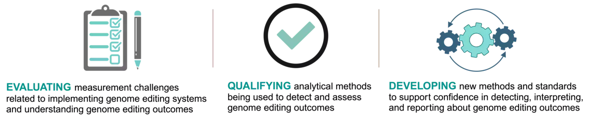 Three icons separated by vertical thin lines: a clipboard with checkmarks and a pencil beside it (representing evaluating), a check mark within a circle (representing qualifying), and three gears within a circle made up of two arrows (representing developing)