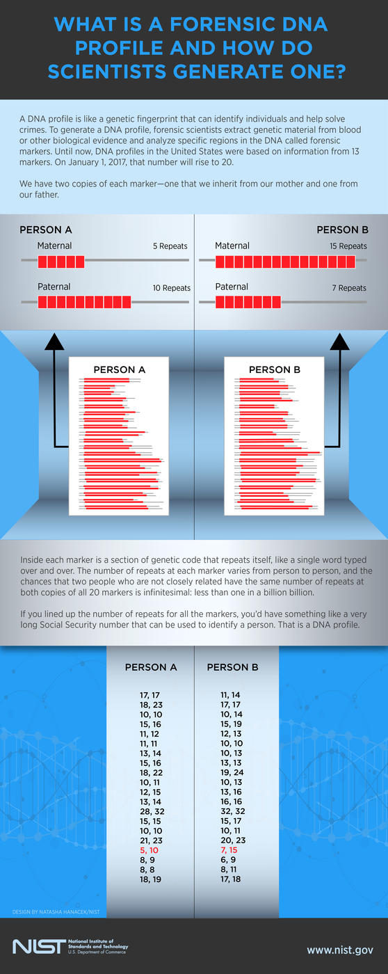 Infographic detailing forensic DNA profiling