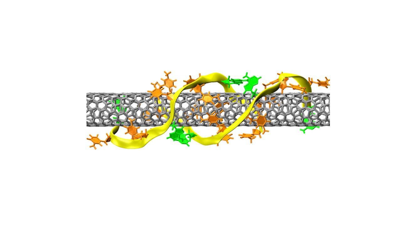 A figure showing the molecular structure of a DNA-wrapped carbon nanotube