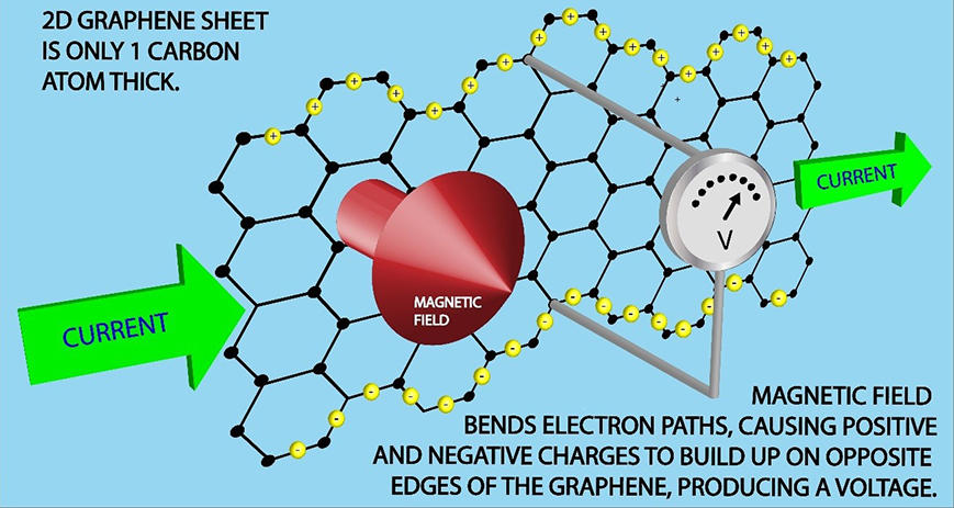 2D graphene sheet is only 1 carbon atom thick. Magnetic field bends electron paths, causing positive and negative charges to build up on opposite edges of the graphene, producing a voltage.