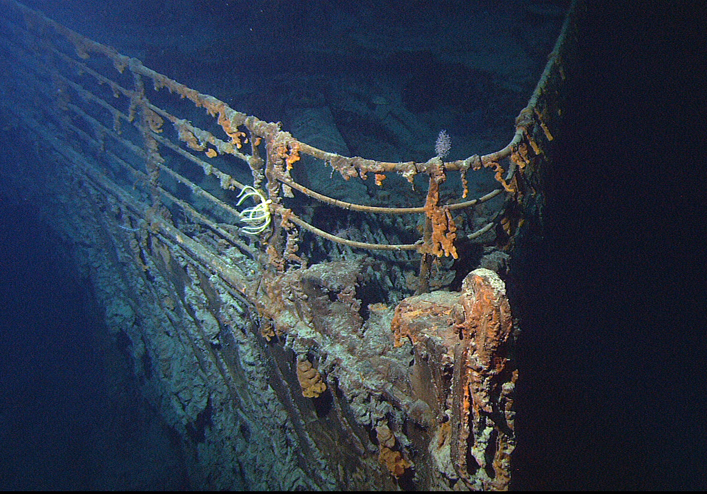Photo of the bow of the RMS Titanic on the ocean floor with rust, sea growth