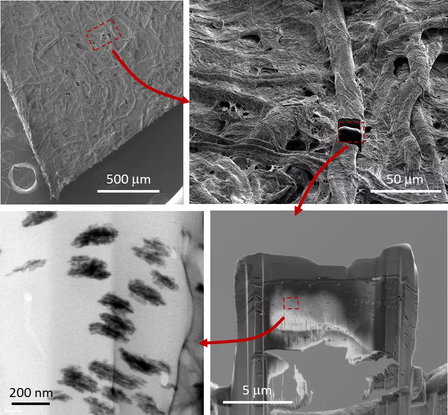  transmission electron microscope images of PtPd print paper sample