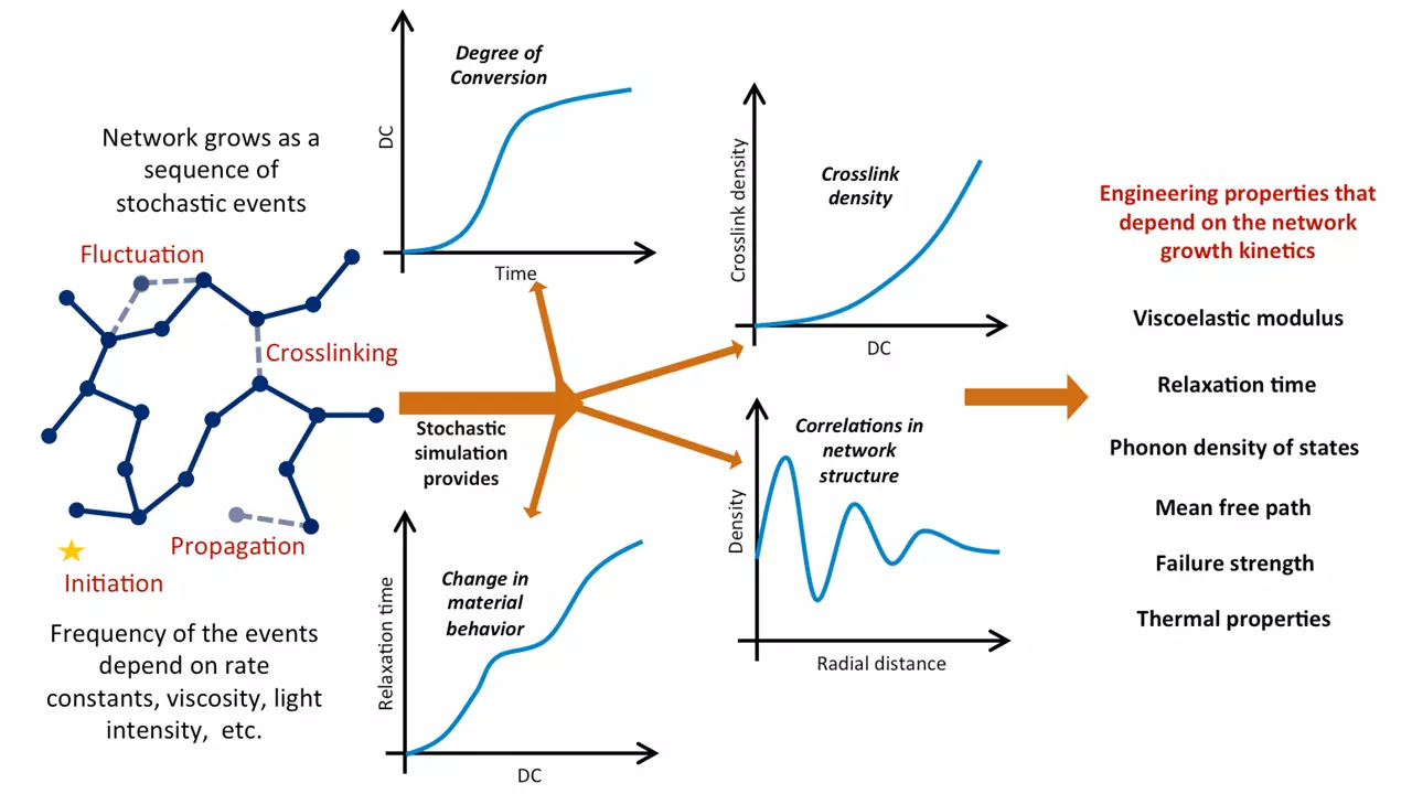 Network Graph