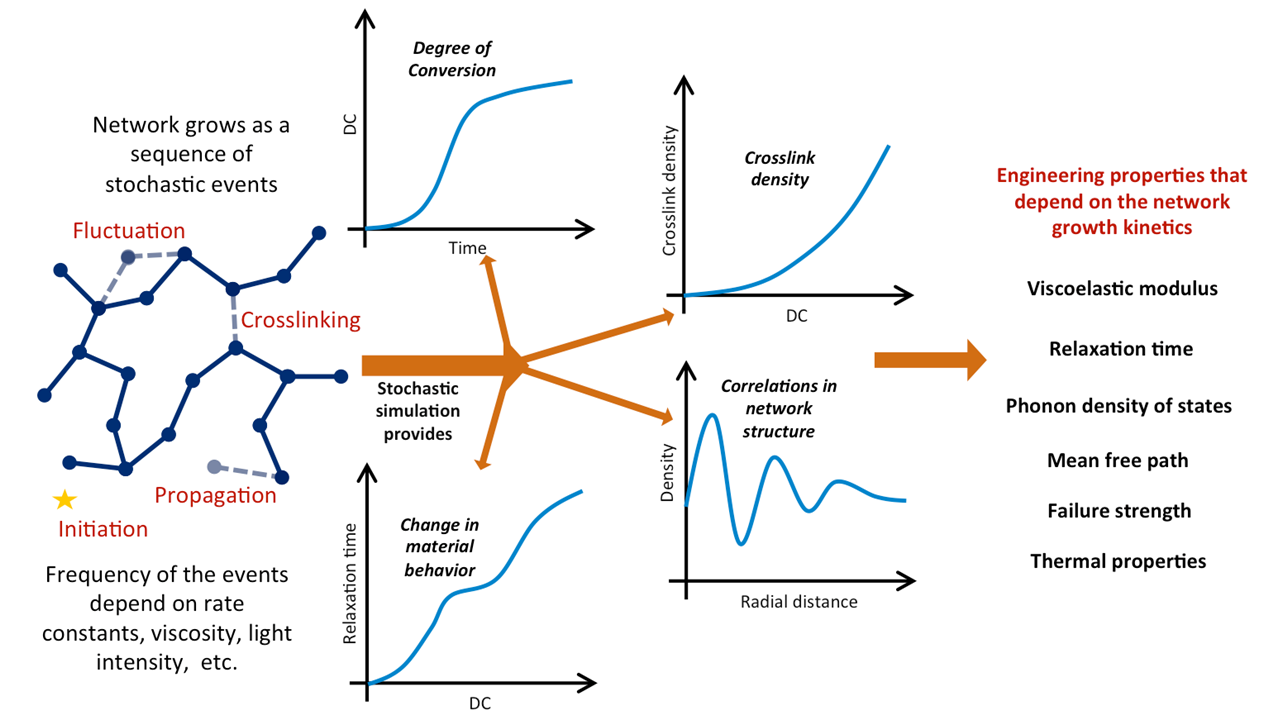 Network Graph