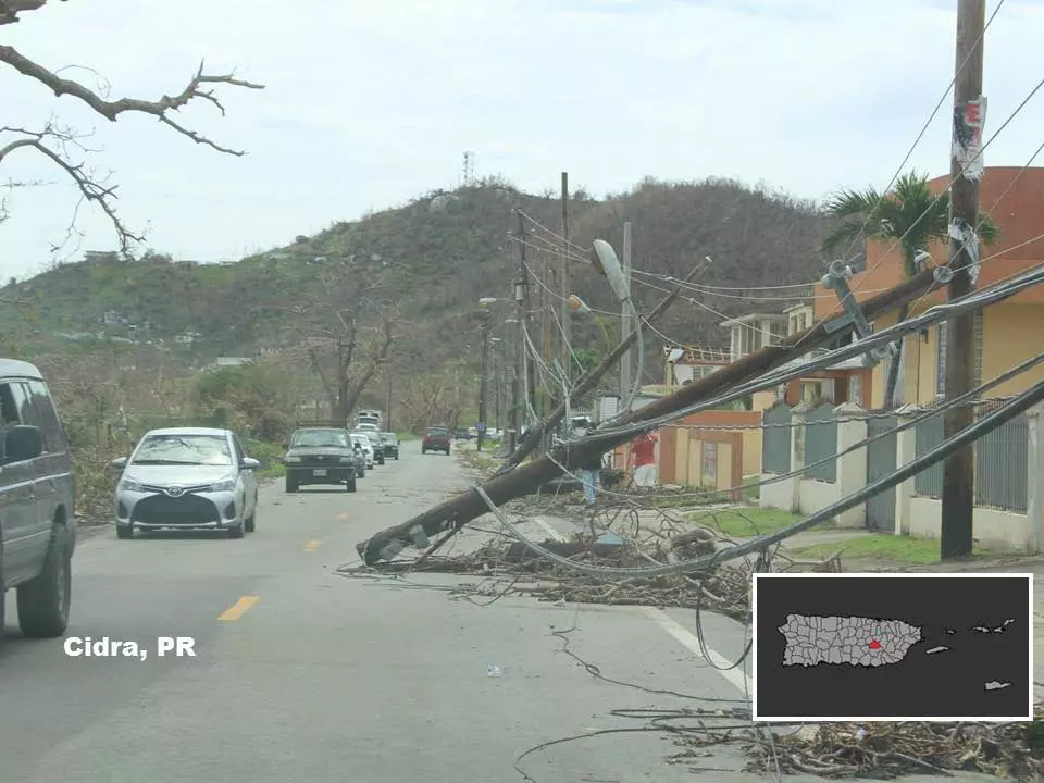 Downed Power Line
