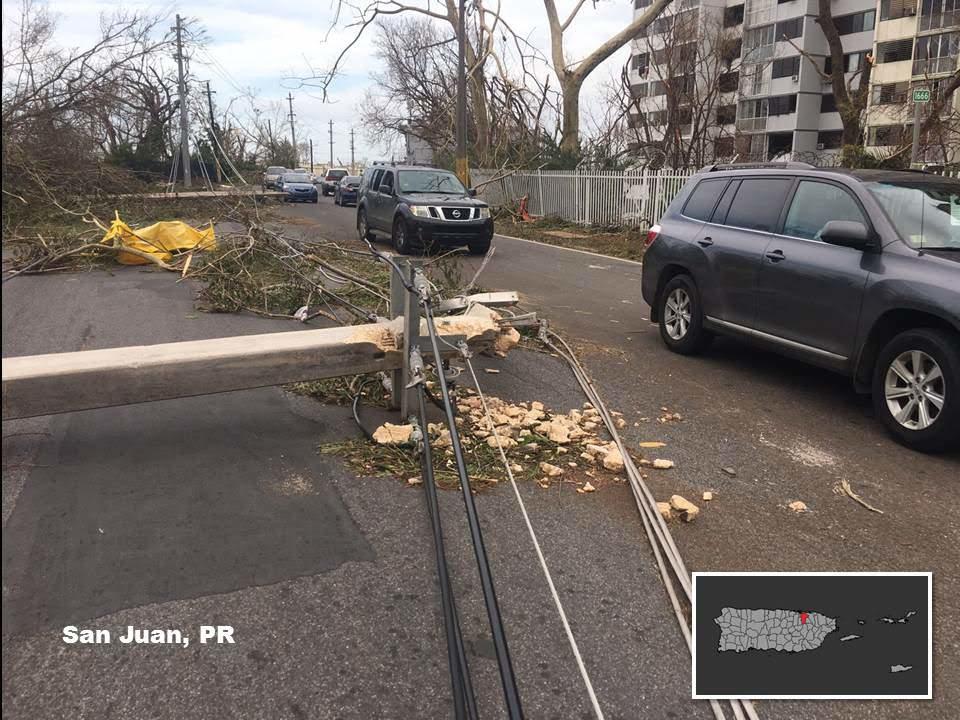 Downed Power Line in San Juan