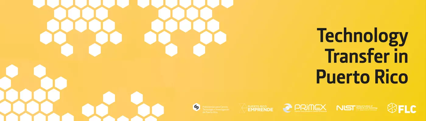 Technology Transfer in Puerto Rico Banner image