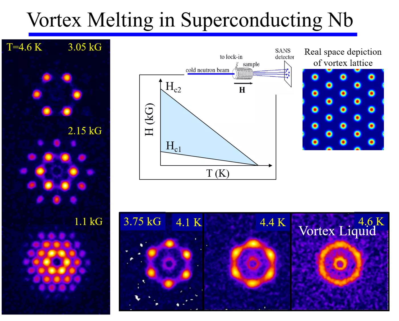 Niobium Vortex Lattice
