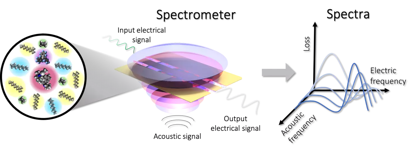 Electric-acoustic spectroscopy project