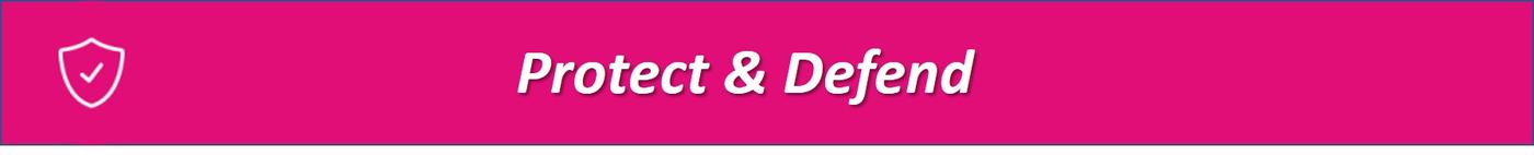 protect and defend banner image