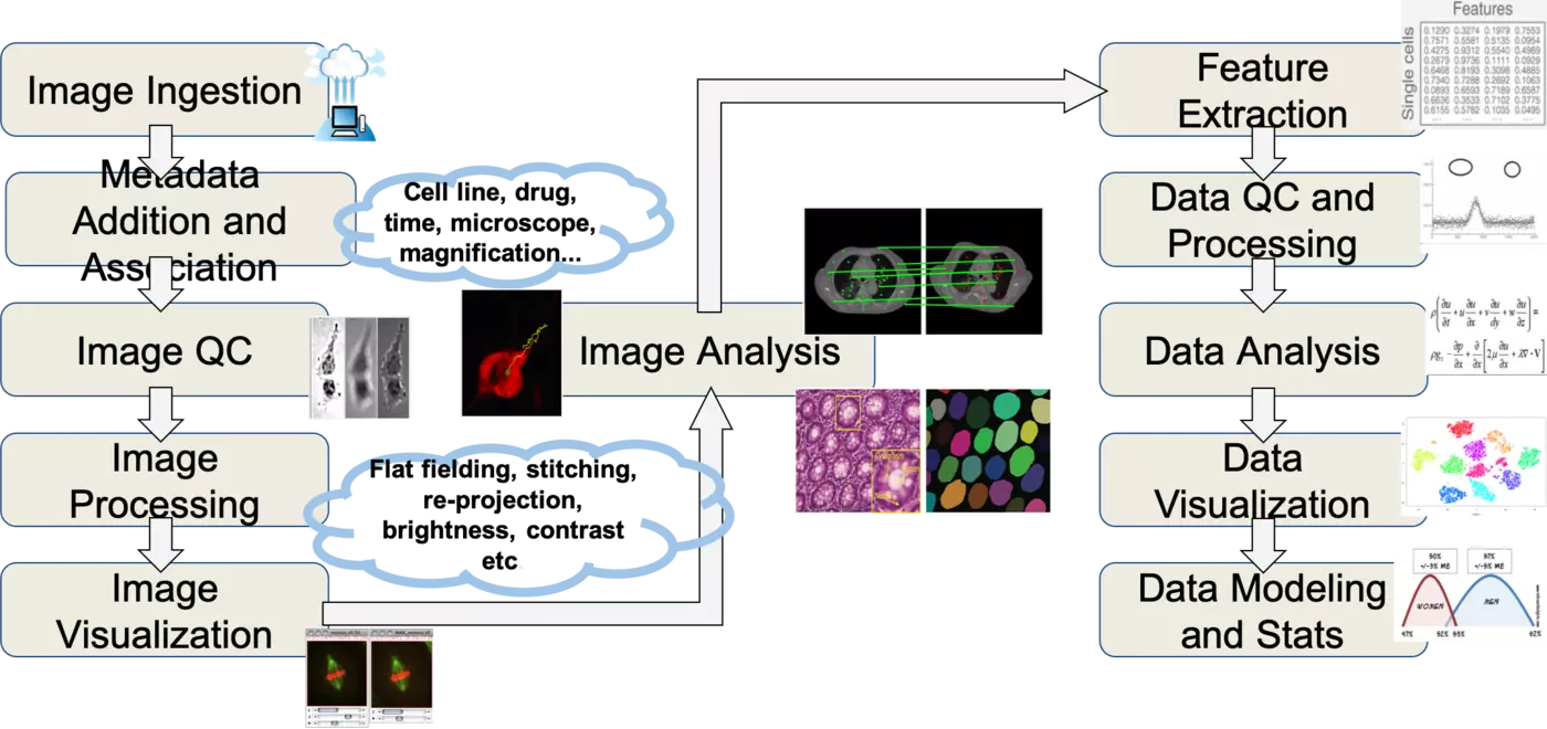 WIPP Image Analysis