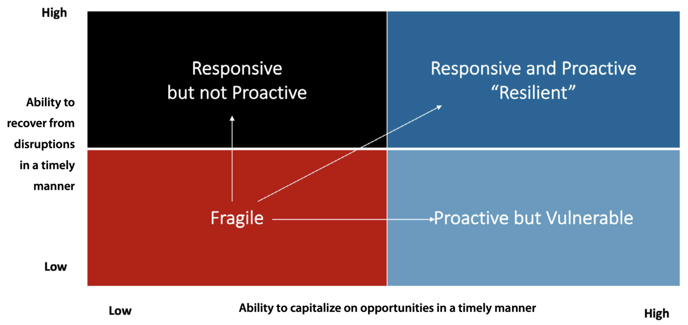 Resilience grid