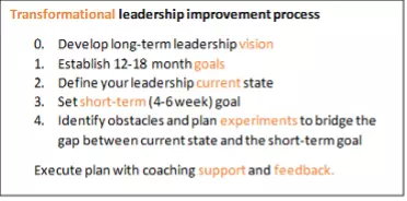 Transformatoinal leadership improvement process