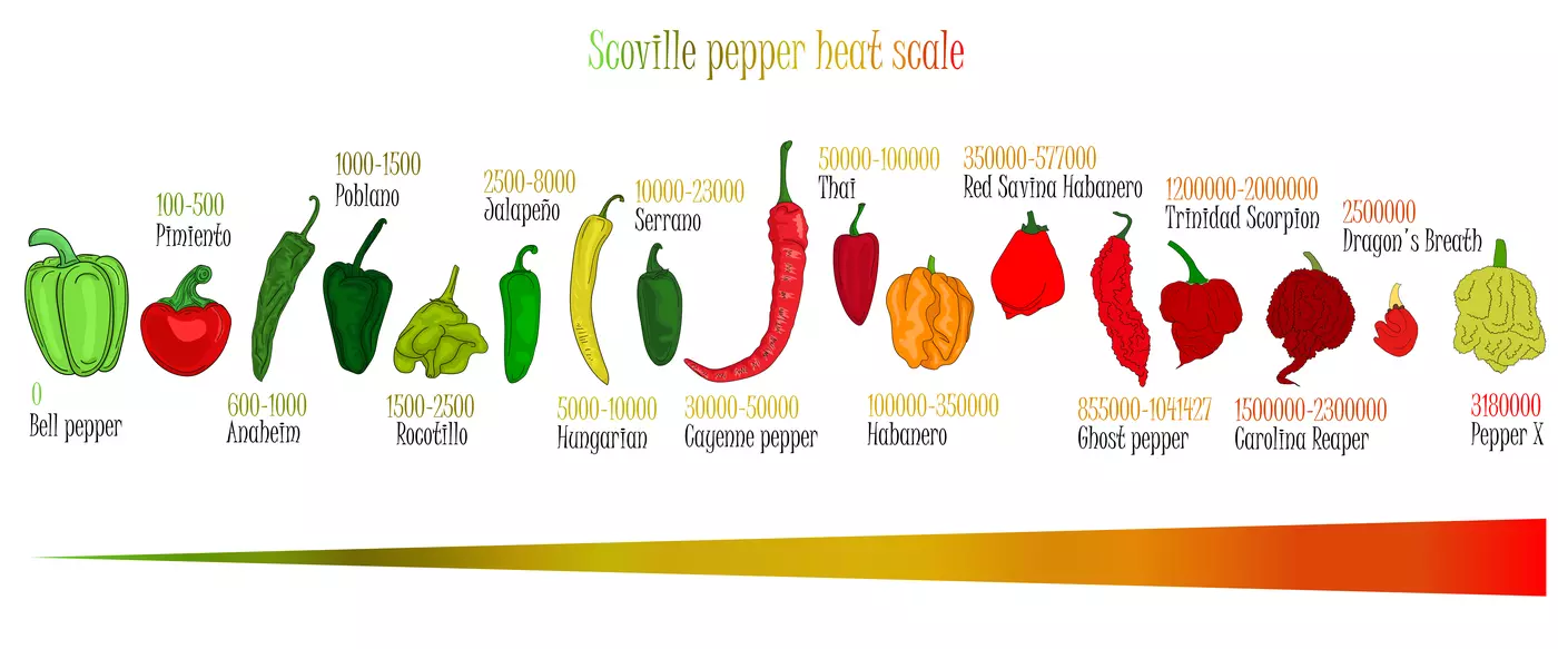 Series of drawings of different peppers showing their Scoville Scale range