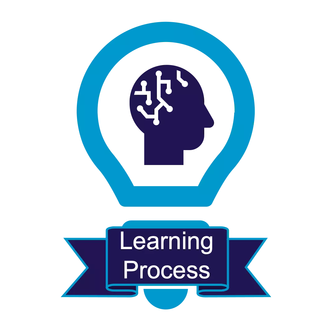 NICE_StrategicPlan2020_Learning Process