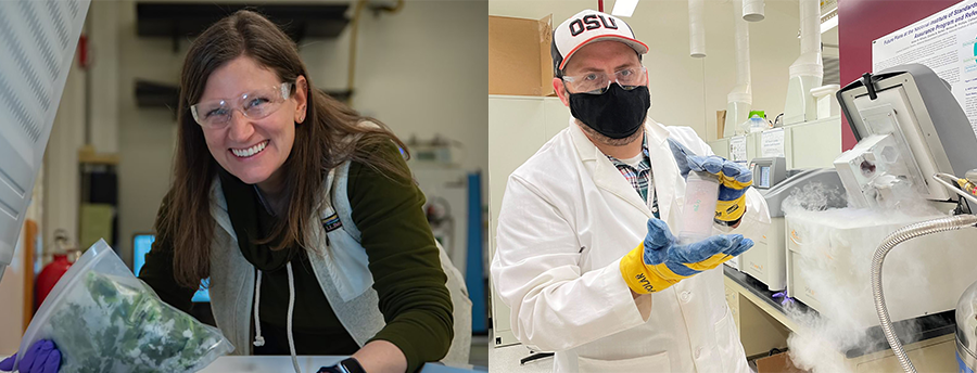 Two photos side by side: Melissa Phillips, wearing safety glasses, poses leaning over an open chest freezer, holding a plastic bag of spinach. Ben Place, in a white lab coat and gloves, is holding up a frozen container in a laboratory.