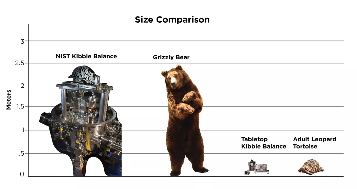 A size comparison chart showing four objects: a NIST-4 Kibble balance (around 2.5 meters), a grizzly bear (same), a tabletop Kibble balance (less than .5 meters), and a leopard tortoise (same).