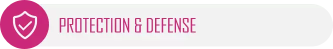 Protection and Defense NICE Framework Work Role Category