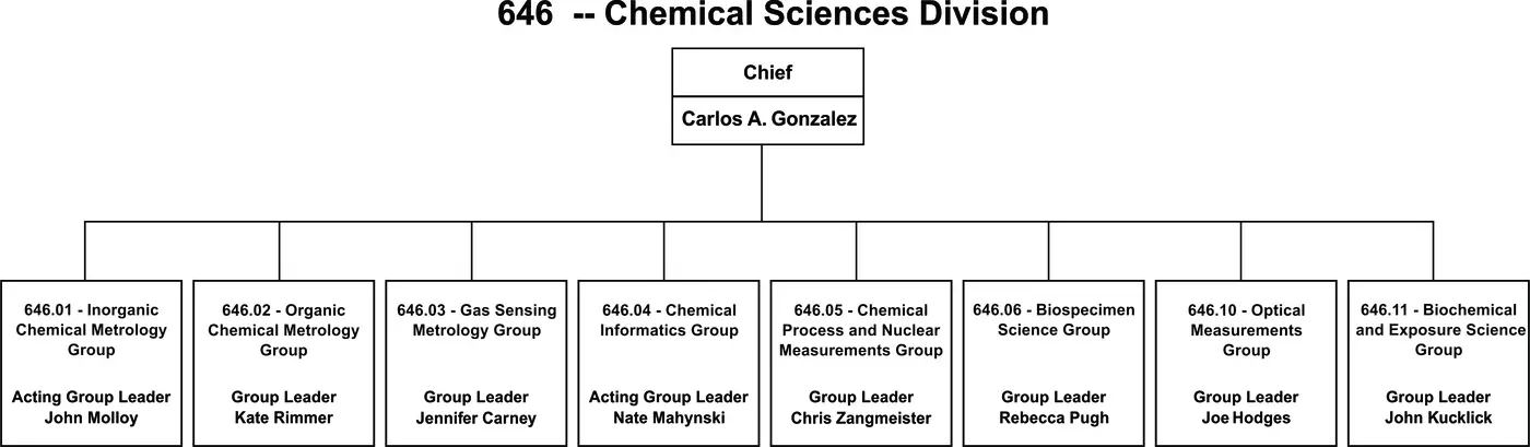 An organization chart with management and 8 groups.