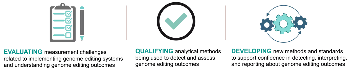 Three icons separated by vertical thin lines: a clipboard with checkmarks and a pencil beside it (representing evaluating), a check mark within a circle (representing qualifying), and three gears within a circle made up of two arrows (representing developing)