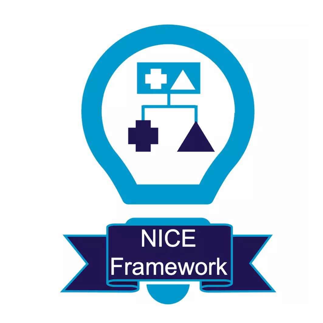 NICE Framework Strategic Goal Icon