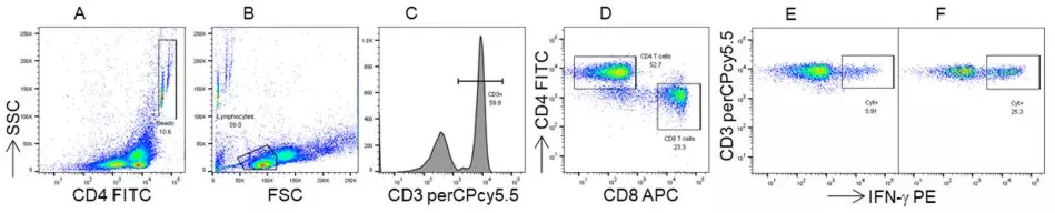 Dot plots and histograms progressing through flow cytometric gating strategy for identifying IFN gamma positive cells in NIBSC 15/272 reference material