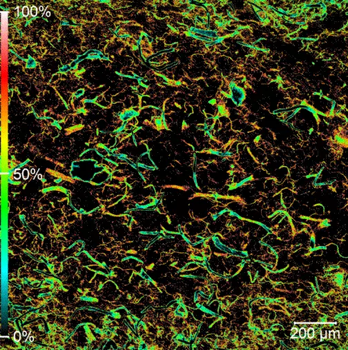 Microscopic image showing Förster resonance energy transfer (FRET) as nanocellulose fibers interact and disperse within a polyethylene polymer matrix.