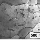 A black and white image of the aluminum alloy under a microscope. Most of the image is light grey, but there are many small black spots that have lines extending out from them like cracks.