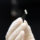 Close-up of a gloved hand holding tweezers that are grasping a tiny rectangular chip. 
