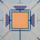 Micrograph of yellow square with lines attached to each corner.