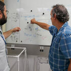 Two men face away from the camera, pointing to diagrams written on a whiteboard. 