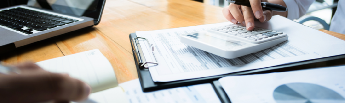 Business audits using financial data
