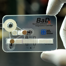 pocket-sized anthrax bacteria detector device