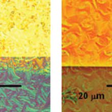 optical micrographs