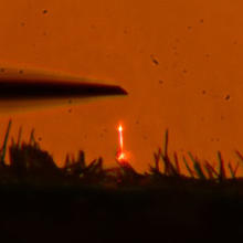 Optically pumped GaN nanowire laser shown glowing orange. 