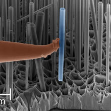 GaN nanowire