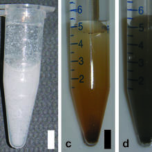 Three complex samples that can be successfully analyzed by the NIST GEMBE system: (b) whole milk, (c) dirt and (d) coal fly ash.