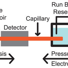 The NIST GEMBE microfluidic sample analysis system is shown schematically