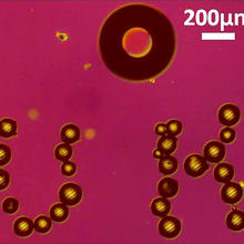 A photomicrograph showing the microrobot built by the University of Hawaii along with a series of glass beads that it assembled into a mini "U H". 