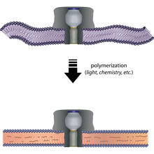 nanopores illustration