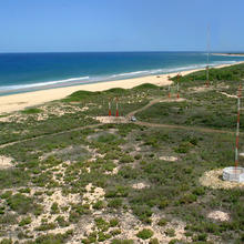 WWVH antenna field full-size