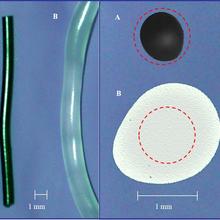 Die swell eliminiation from nanotubes