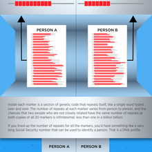 Infographic detailing forensic DNA profiling