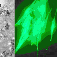 NIST experiments using human lung cells demonstrate that DNA-wrapped single-walled carbon nanotubes longer than about 200 nanometers are excluded from cells, while shorter lengths are able to penetrate the cell interior