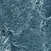 Scanning electron microscope image of a typical sample of the NIST single-wall carbon nanotube soot standard reference material. 